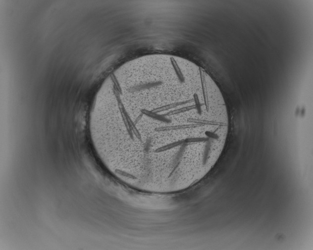 X0000111010032200907101327