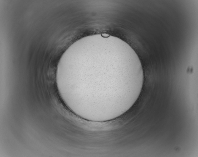 X0000111010034200907101327