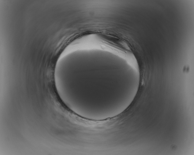X0000111010035200907101327