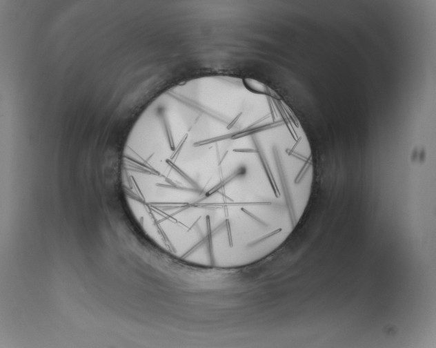 X0000111010036200907101327
