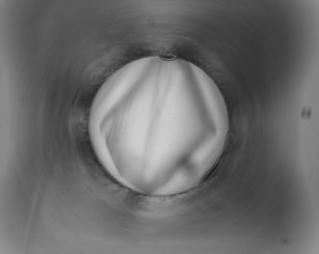 X0000111010037200907101327