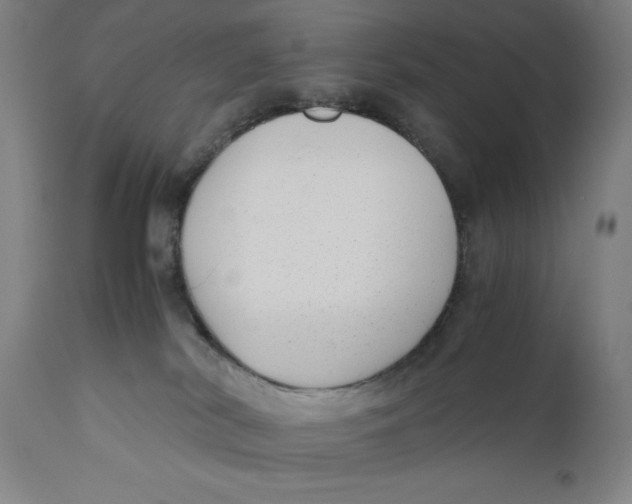 X0000111010038200907101327