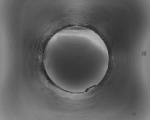 X0000111010039200907101327