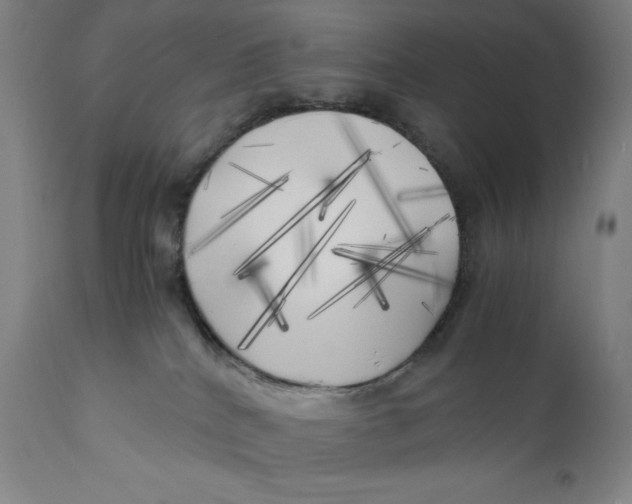 X0000111010040200907101327