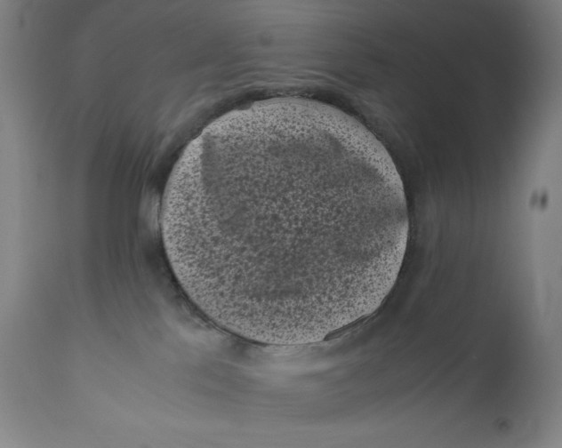 X0000111010041200907101327