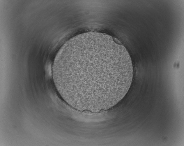 X0000111010042200907101327