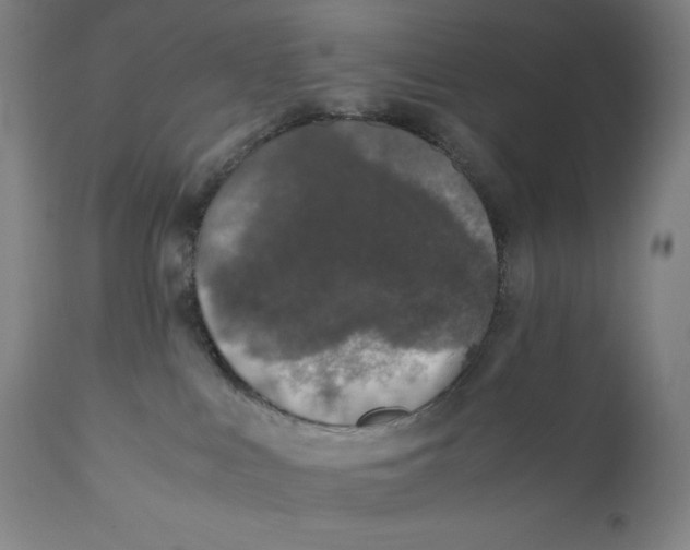 X0000111010043200907101327
