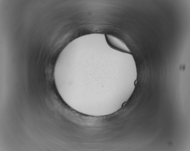 X0000111010044200907101327
