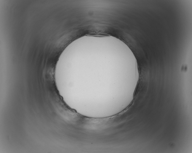 X0000111010045200907101326