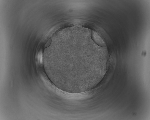 X0000111010046200907101326