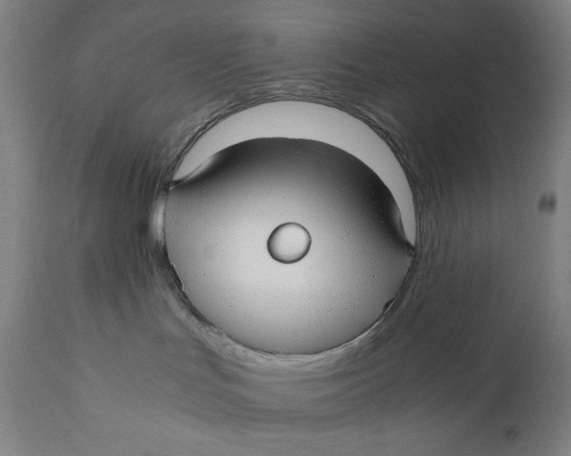 X0000111010047200907101326