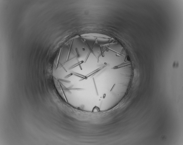 X0000111010048200907101326