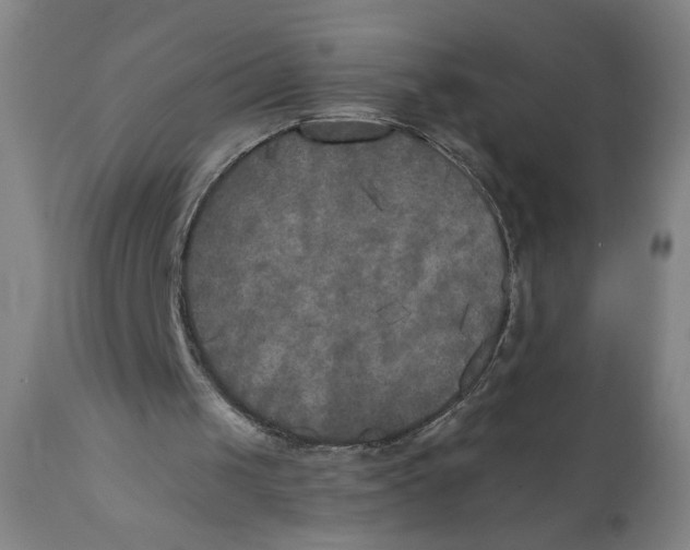 X0000111010049200907101326