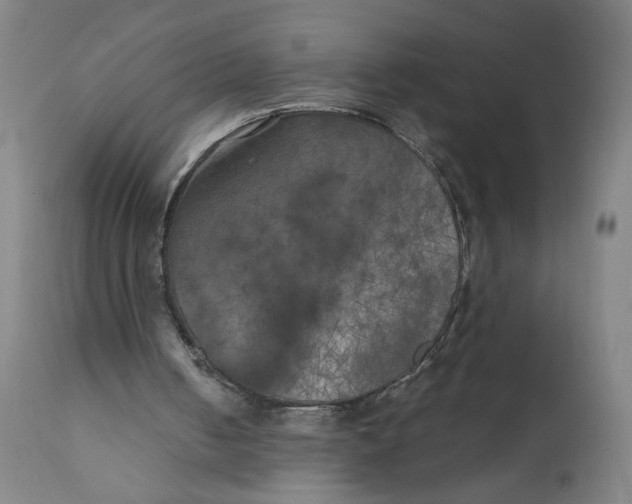 X0000111010050200907101326