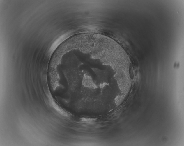 X0000111010051200907101326