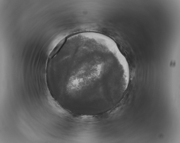 X0000111010052200907101326