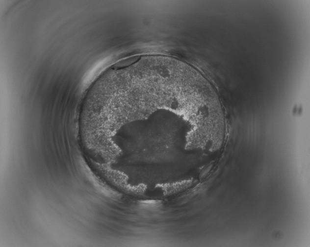X0000111010053200907101326