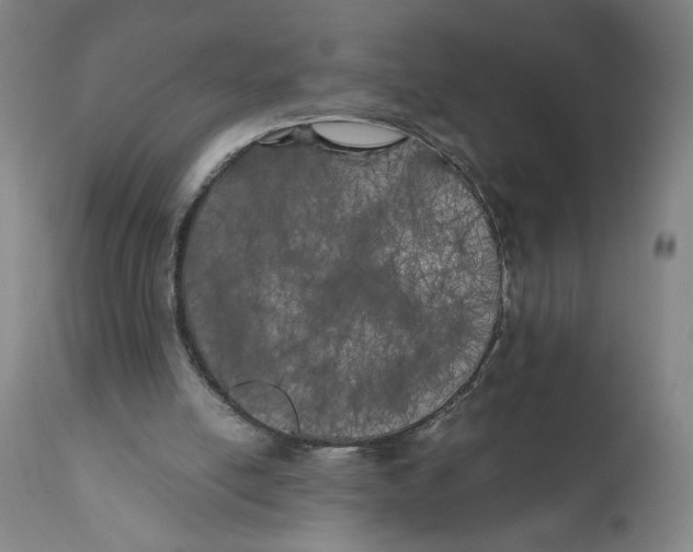 X0000111010054200907101326