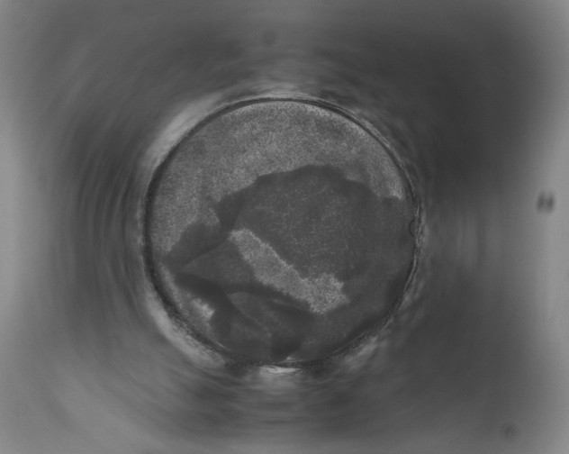 X0000111010055200907101326