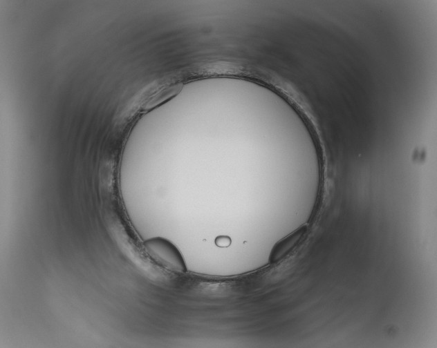X0000111010057200907101326