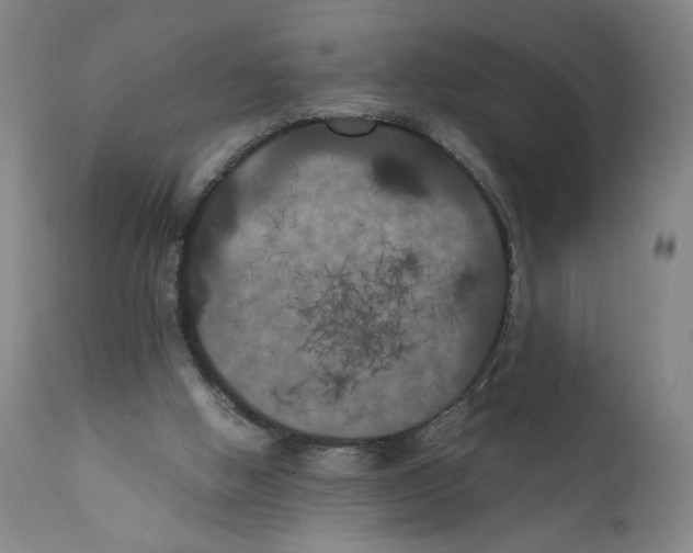 X0000111010058200907101326