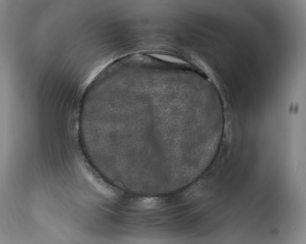 X0000111010059200907101326