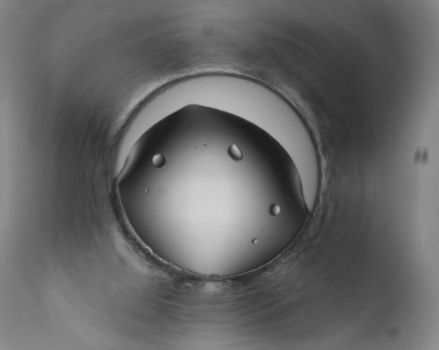 X0000111010060200907101326