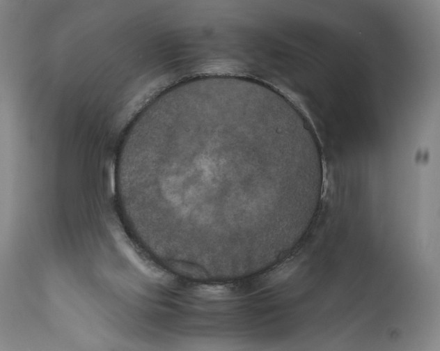 X0000111010061200907101326