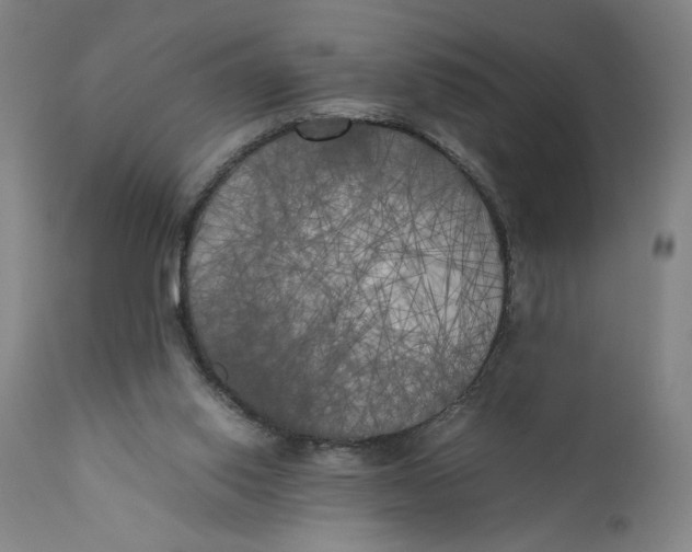 X0000111010062200907101326