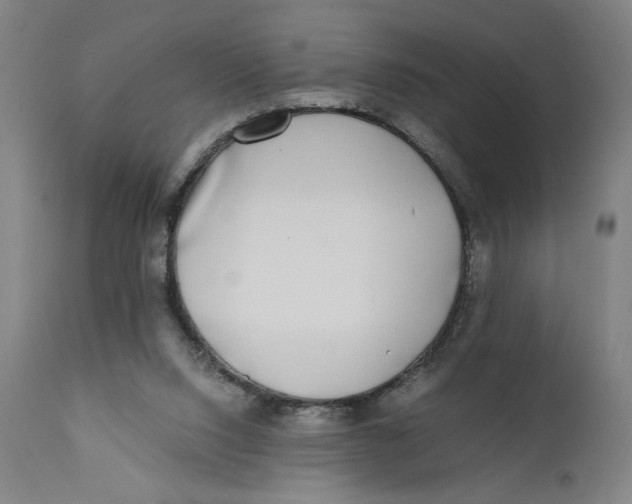 X0000111010064200907101326