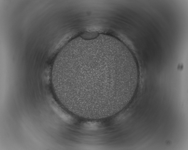 X0000111010065200907101326