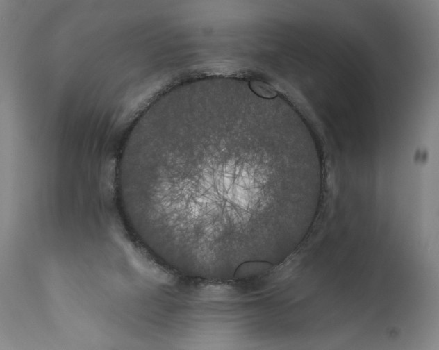 X0000111010066200907101326