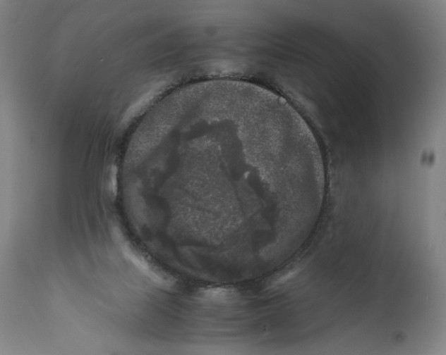 X0000111010067200907101326