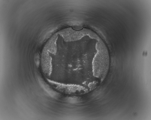 X0000111010069200907101326