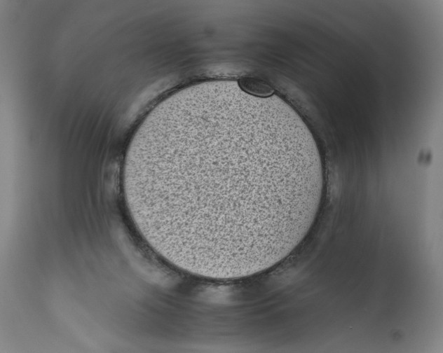 X0000111010071200907101326