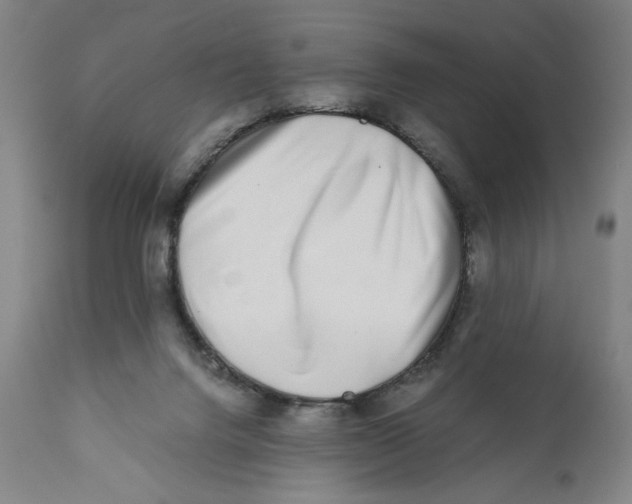 X0000111010072200907101326