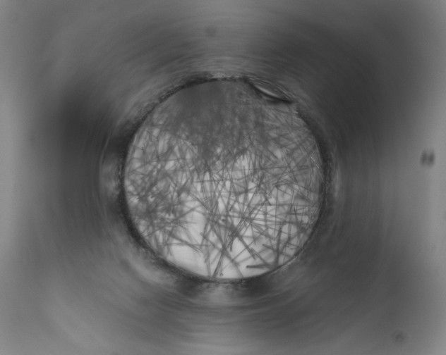 X0000111010074200907101326