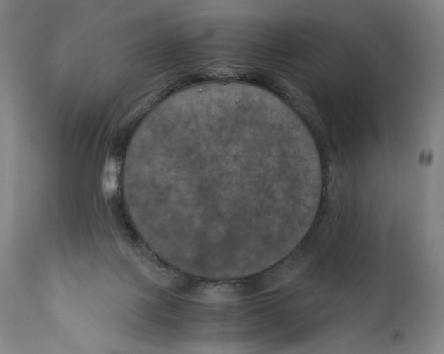 X0000111010075200907101326
