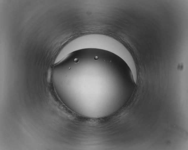 X0000111010076200907101326
