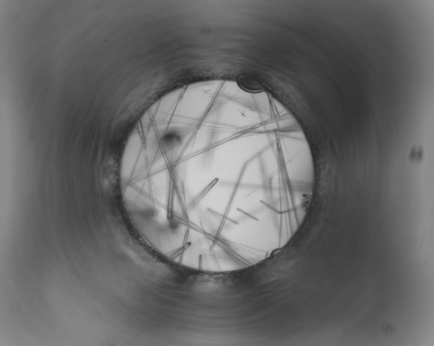 X0000111010077200907101326