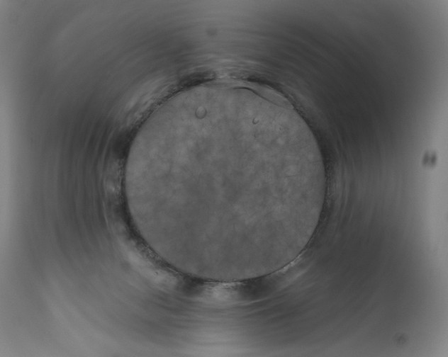 X0000111010078200907101326