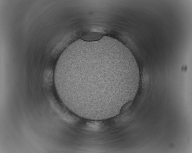 X0000111010079200907101326