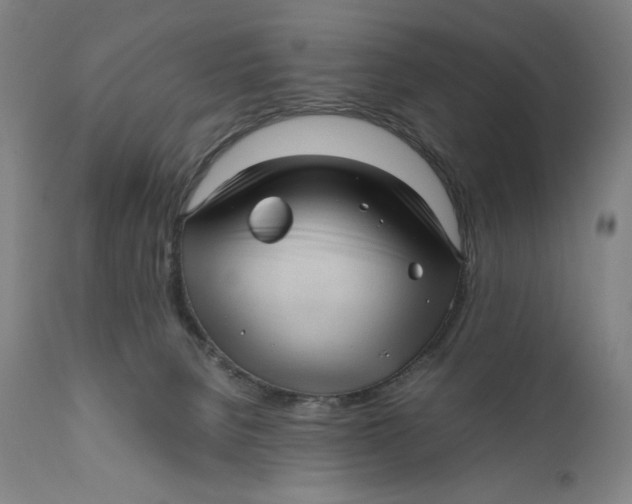 X0000111010080200907101326