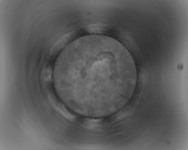 X0000111010081200907101326