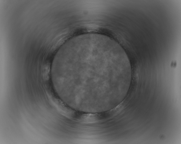 X0000111010082200907101326