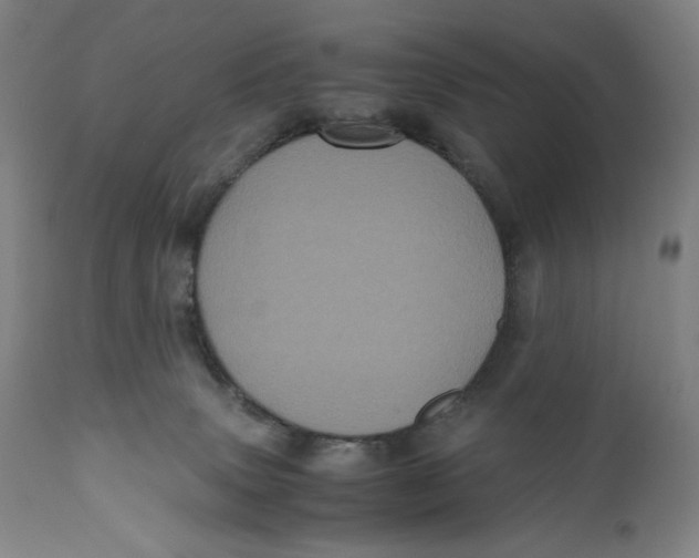 X0000111010083200907101326