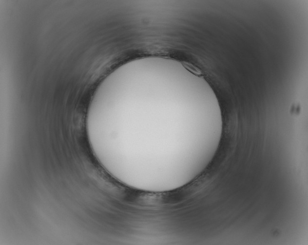 X0000111010084200907101326