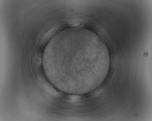 X0000111010085200907101326