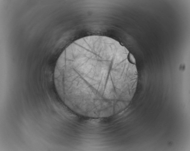 X0000111010086200907101326