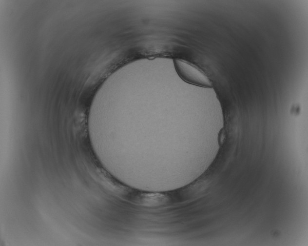 X0000111010087200907101326